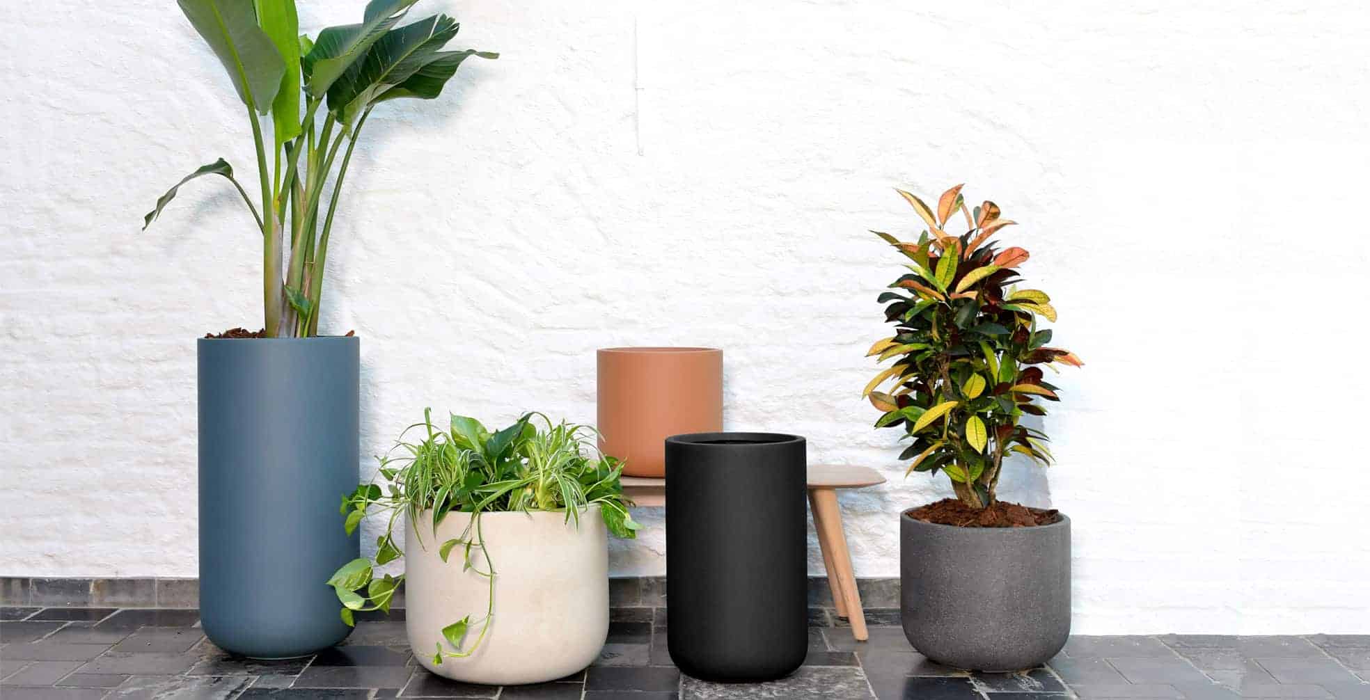 Indoor & Outdoor Planters | Architectural Supplements
