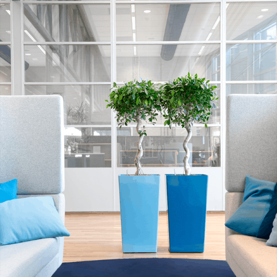 Rise Planters in Blue
