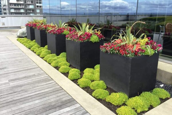 42209410_2234619819913491_1952764768695615488_n