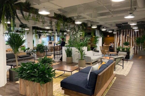 Amlings salvaged wood and strong clay