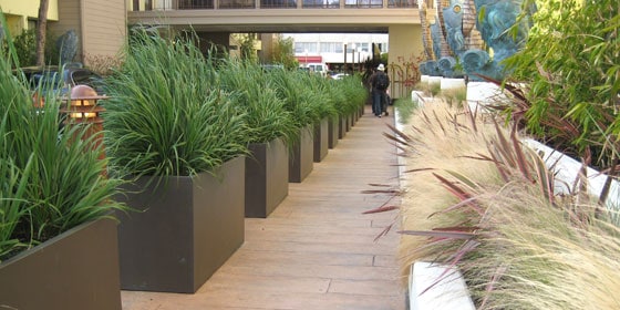 San-Francisco-Hotel,-San-Francisco,-CA,-Wilshire-Rectangles-11338583526