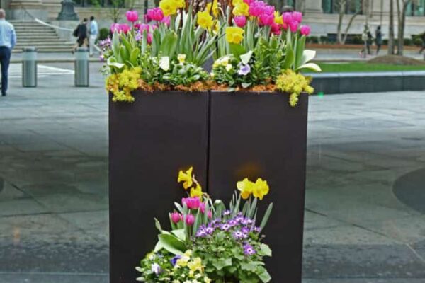 spring-plants-outside-building-686x1030